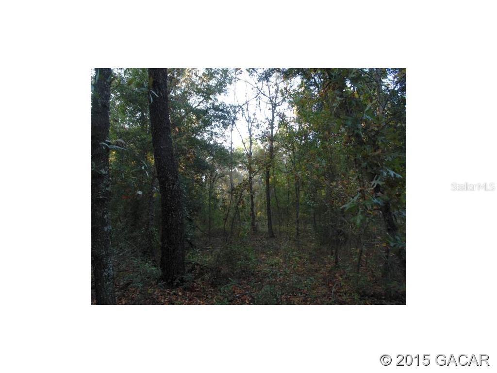 Lot 18 44 Street — photo 3