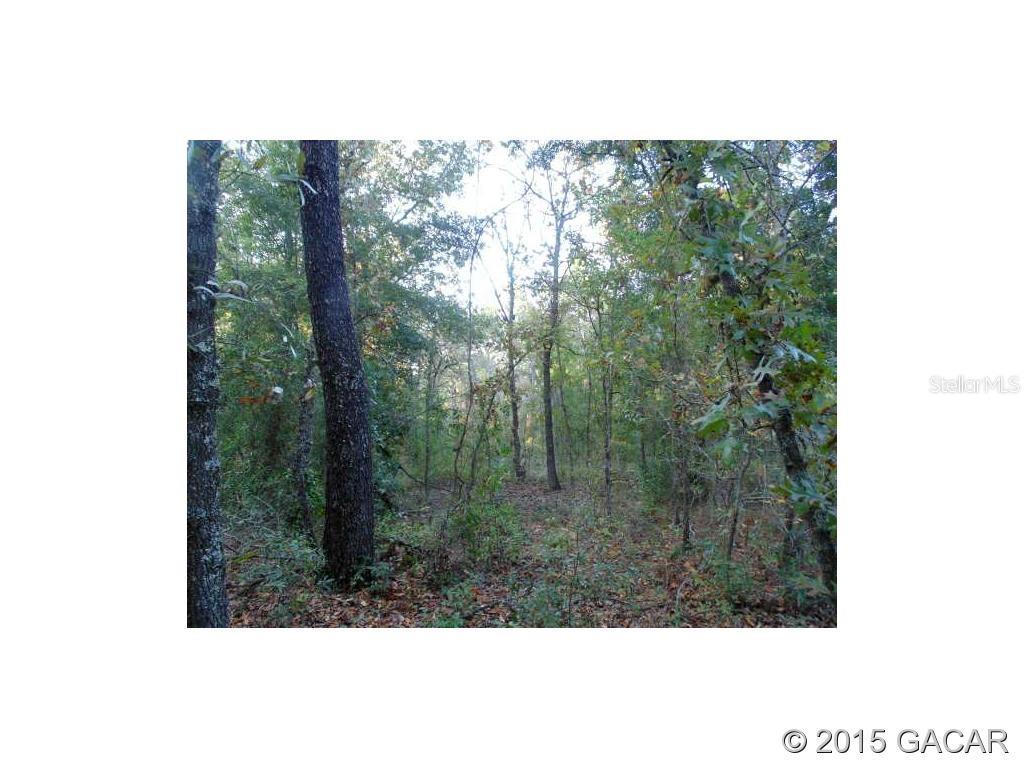 Lot 18 44 Street — photo 4