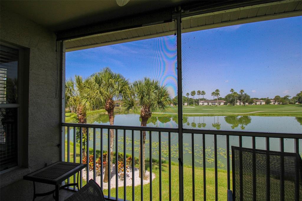 5301 MAHOGANY RUN AVE #1023 — photo 53