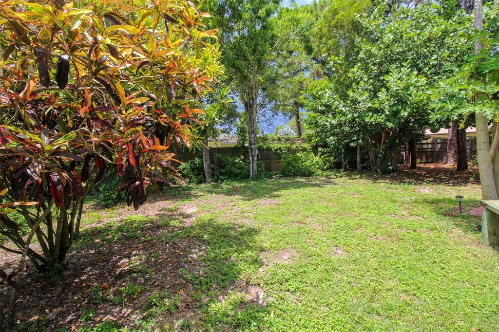 1116 ROYAL RD — photo 3