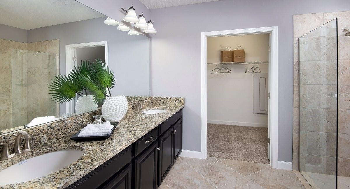 32224 CANNON RUSH DR — photo 5