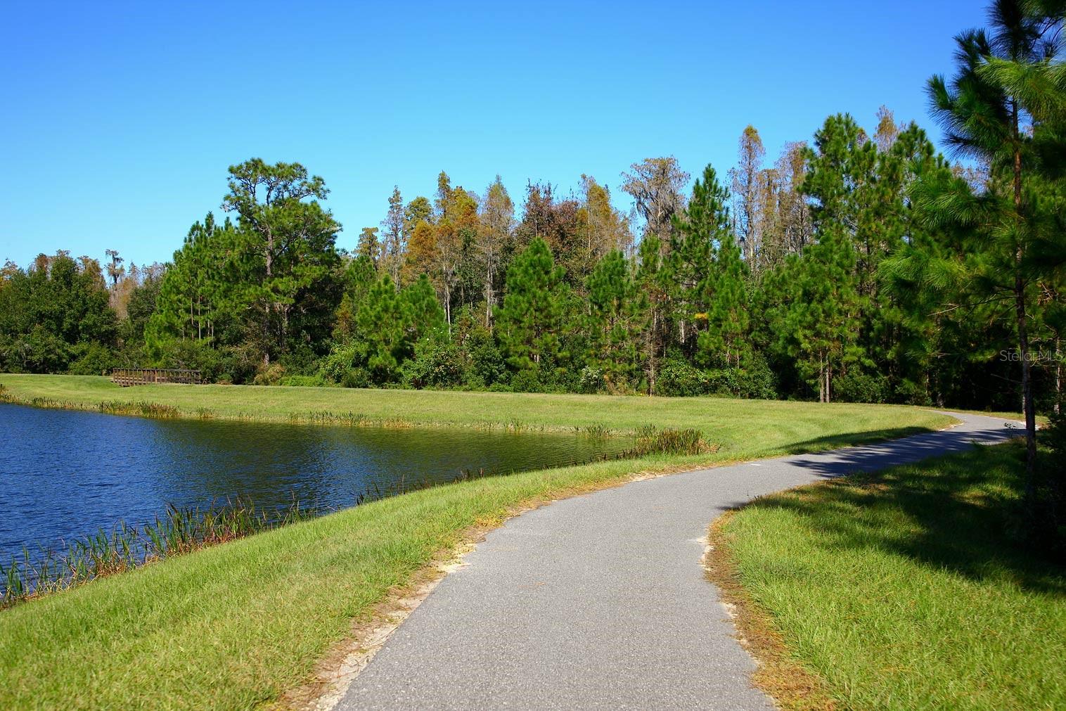 22075 BLAZING STAR RUN — photo 13