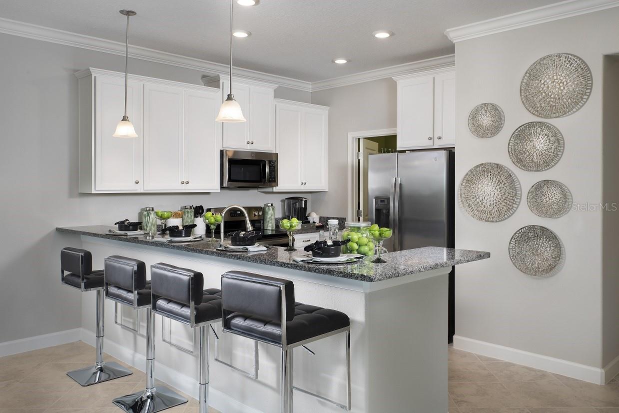 32112 POWDERPUFF MIMOSA DR — photo 5