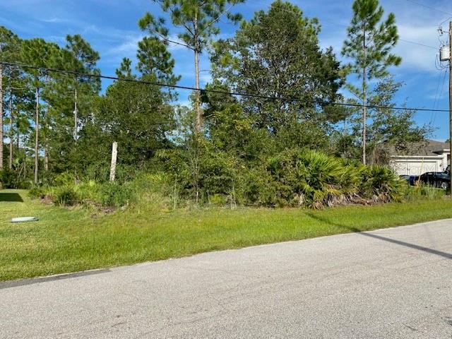41 PINE CROFT LN — photo 2