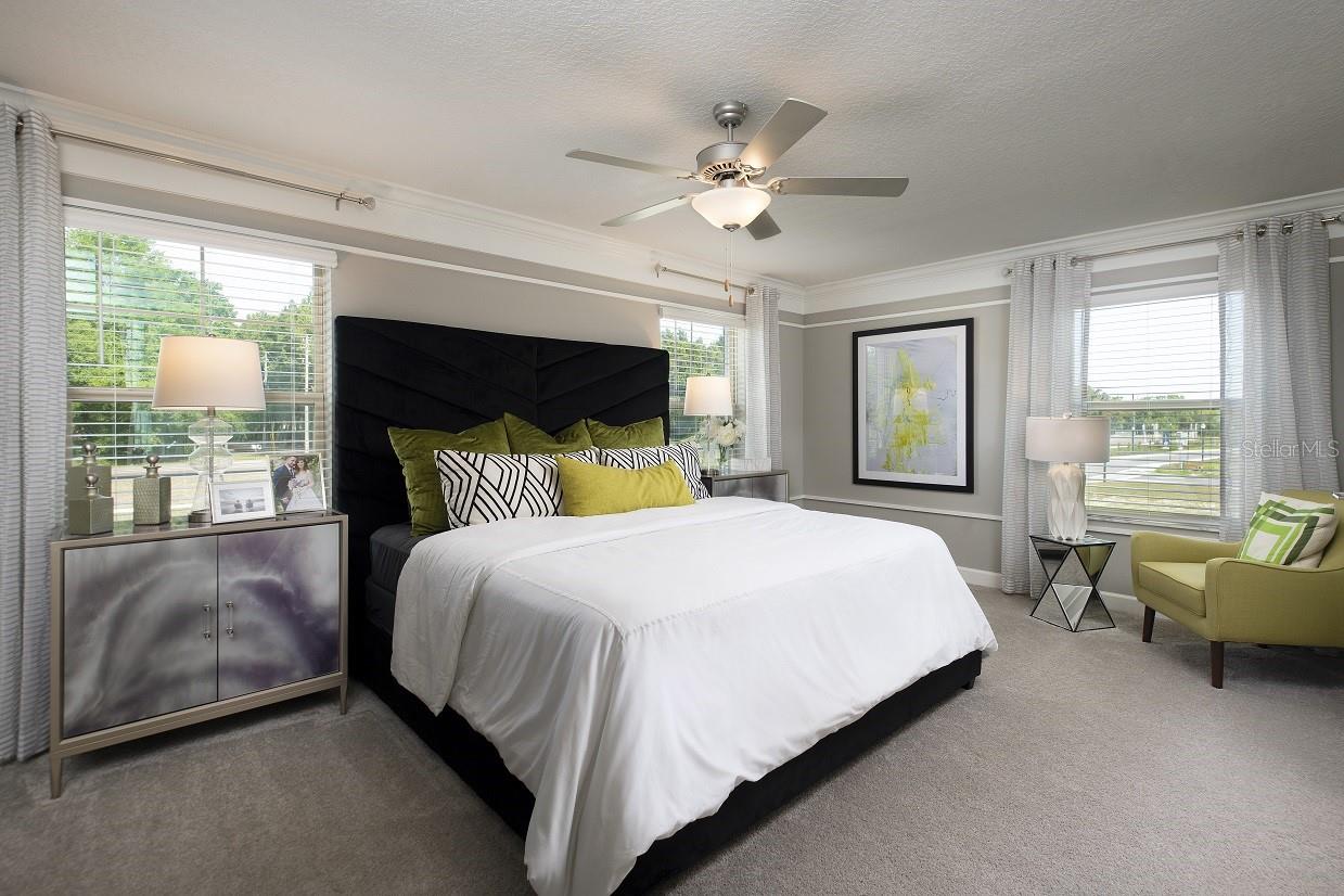 32124 POWDERPUFF MIMOSA DR — photo 7