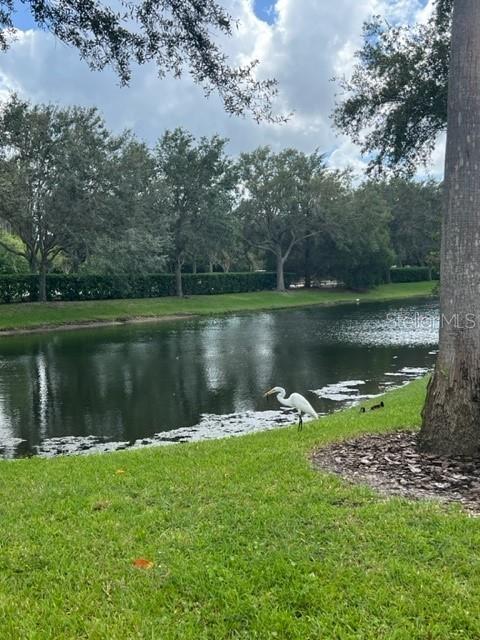 7804 LAKE VISTA CT #305 — photo 33