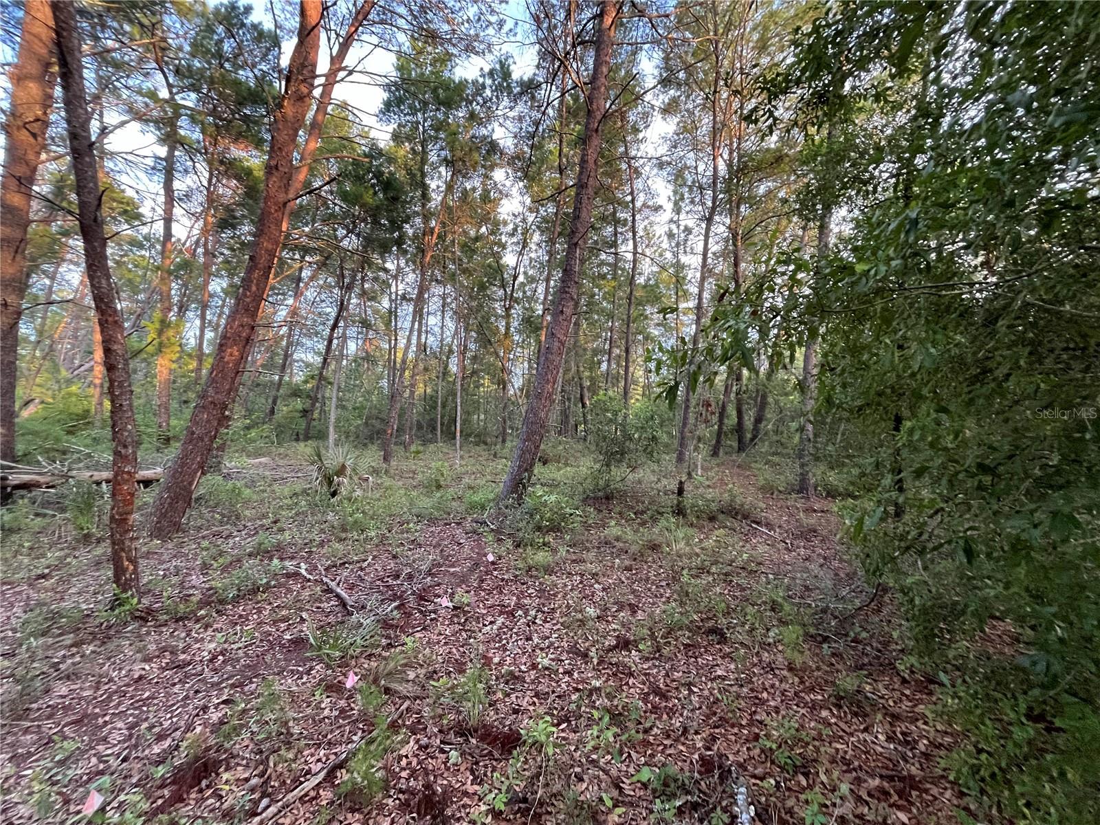 TBD TWIN LAKES RD — photo 2