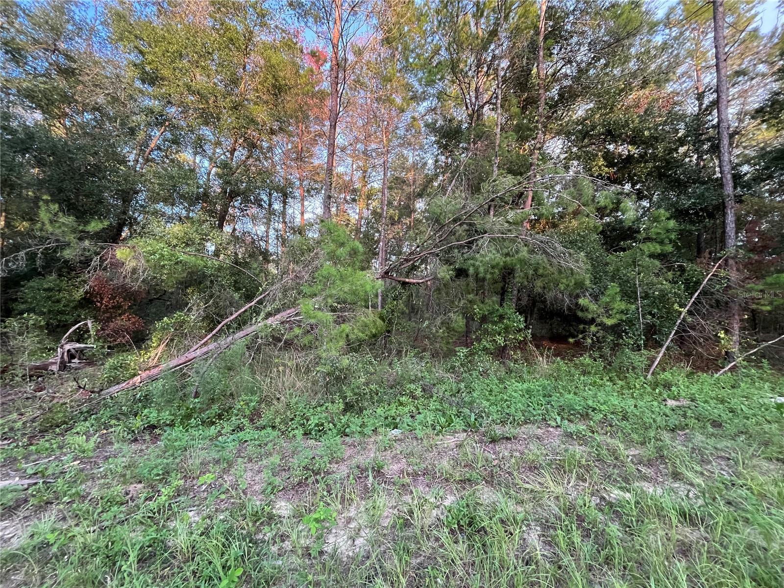 TBD TWIN LAKES RD — photo 3