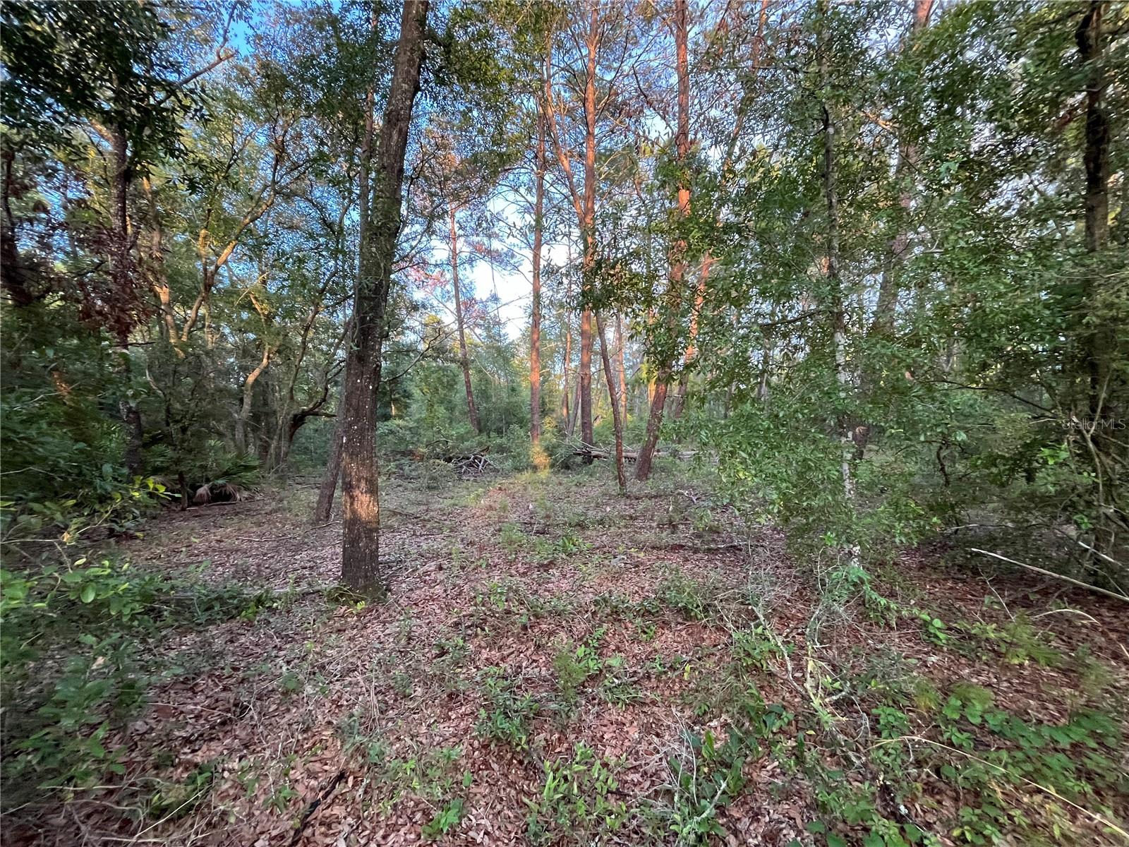 TBD TWIN LAKES RD — photo 4