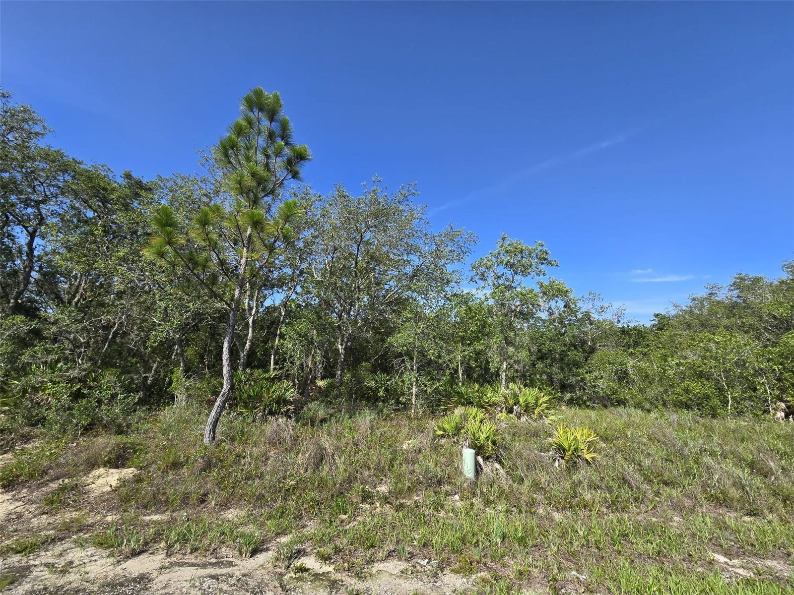 112 TENCH DR photo