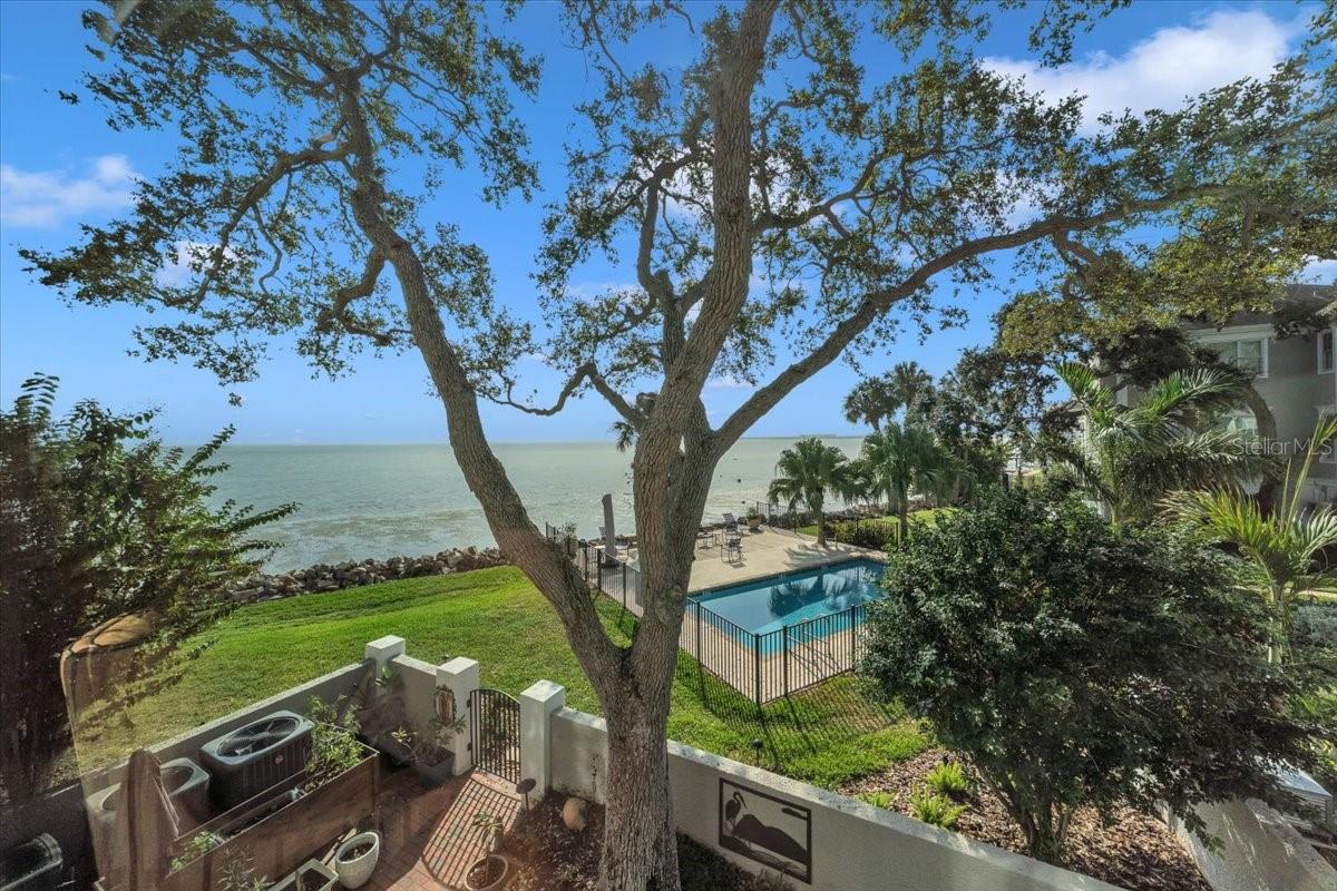 6212 BAYSHORE BLVD #K photo