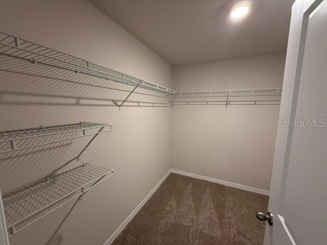 5806 SILVER MOONLIGHT DR — photo 6