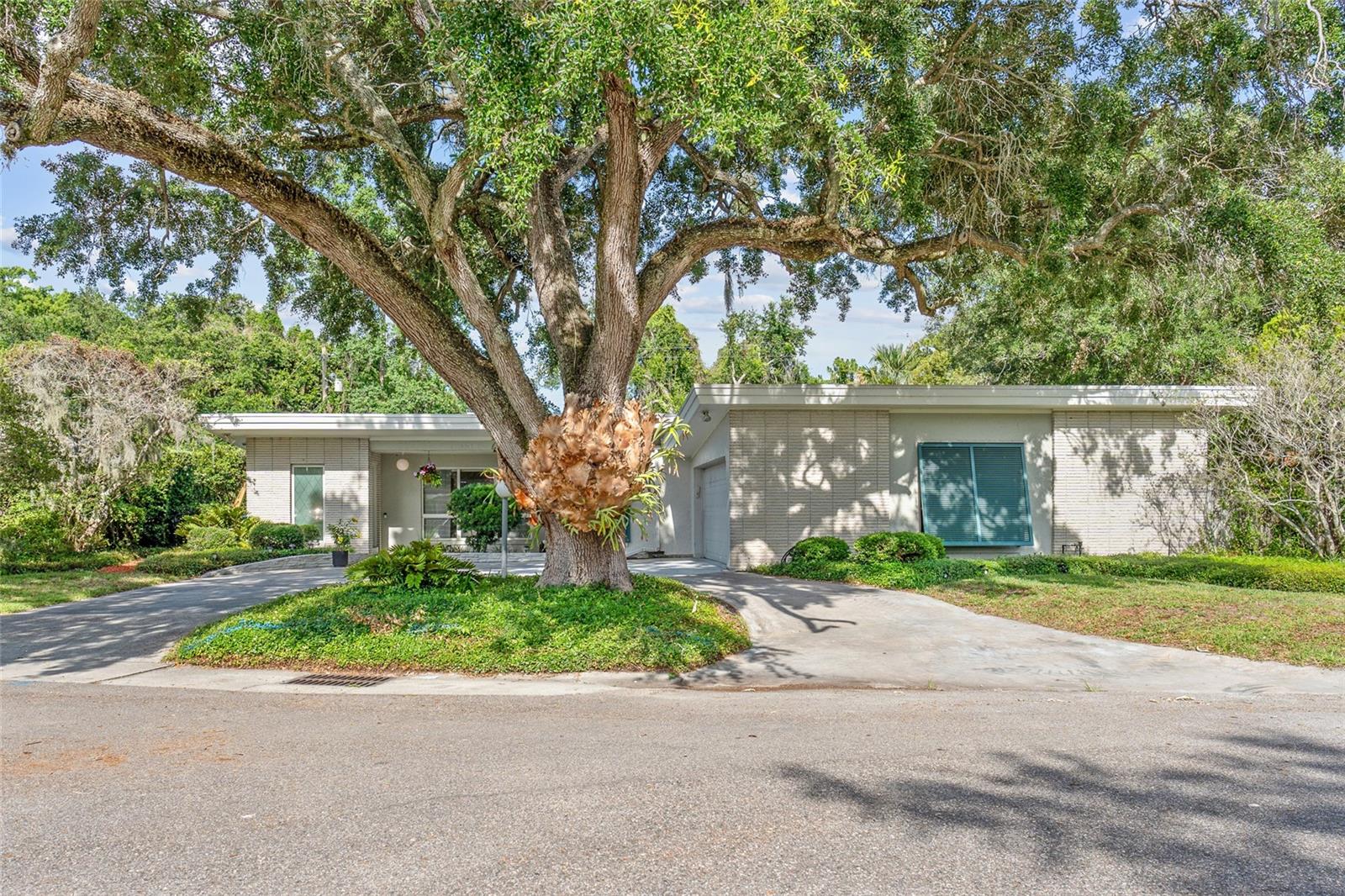 338 BLUE HERON DR photo