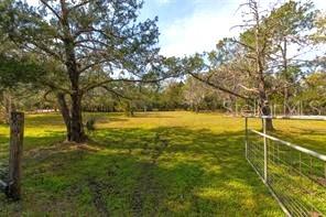 651 OLD HAW CREEK RD — photo 29