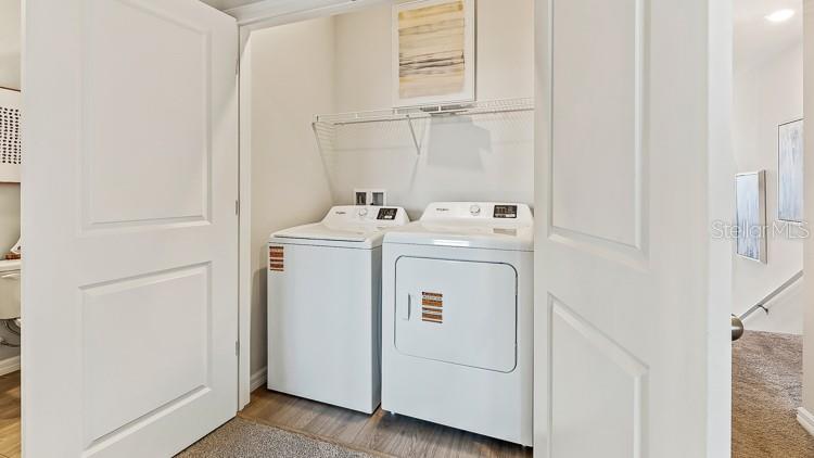 10699 TIGER LILY DR — photo 19