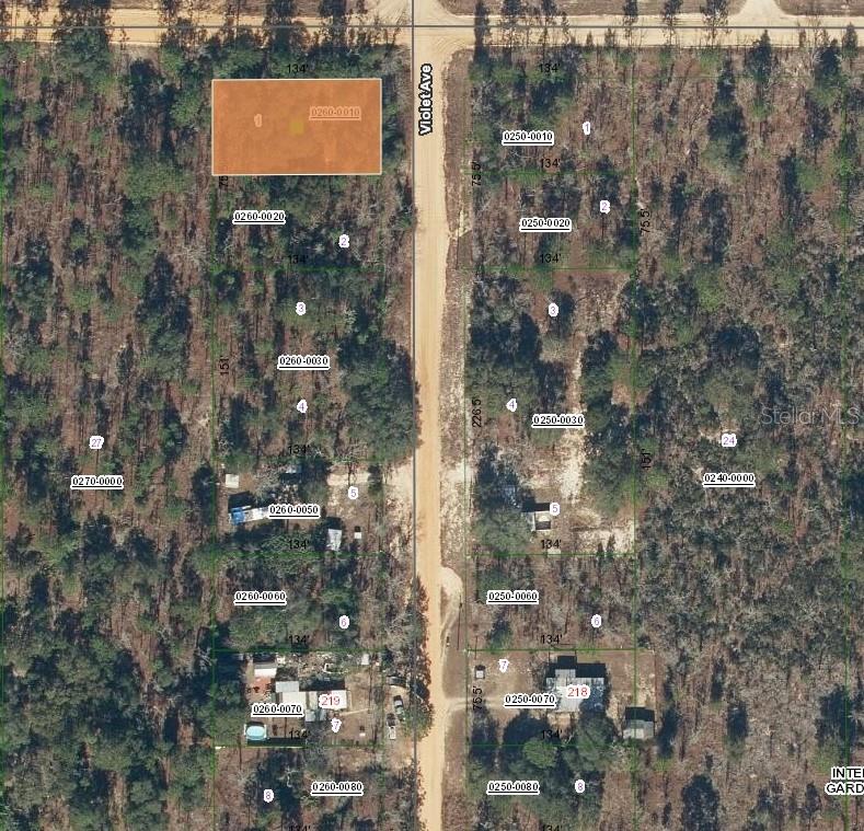 231 VIOLET AVE photo
