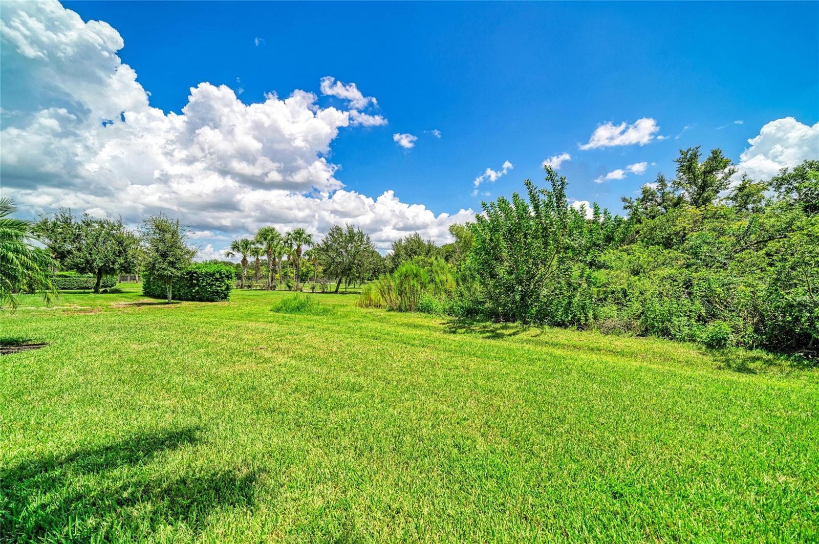 4645 ROYAL DORNOCH CIR — photo 49