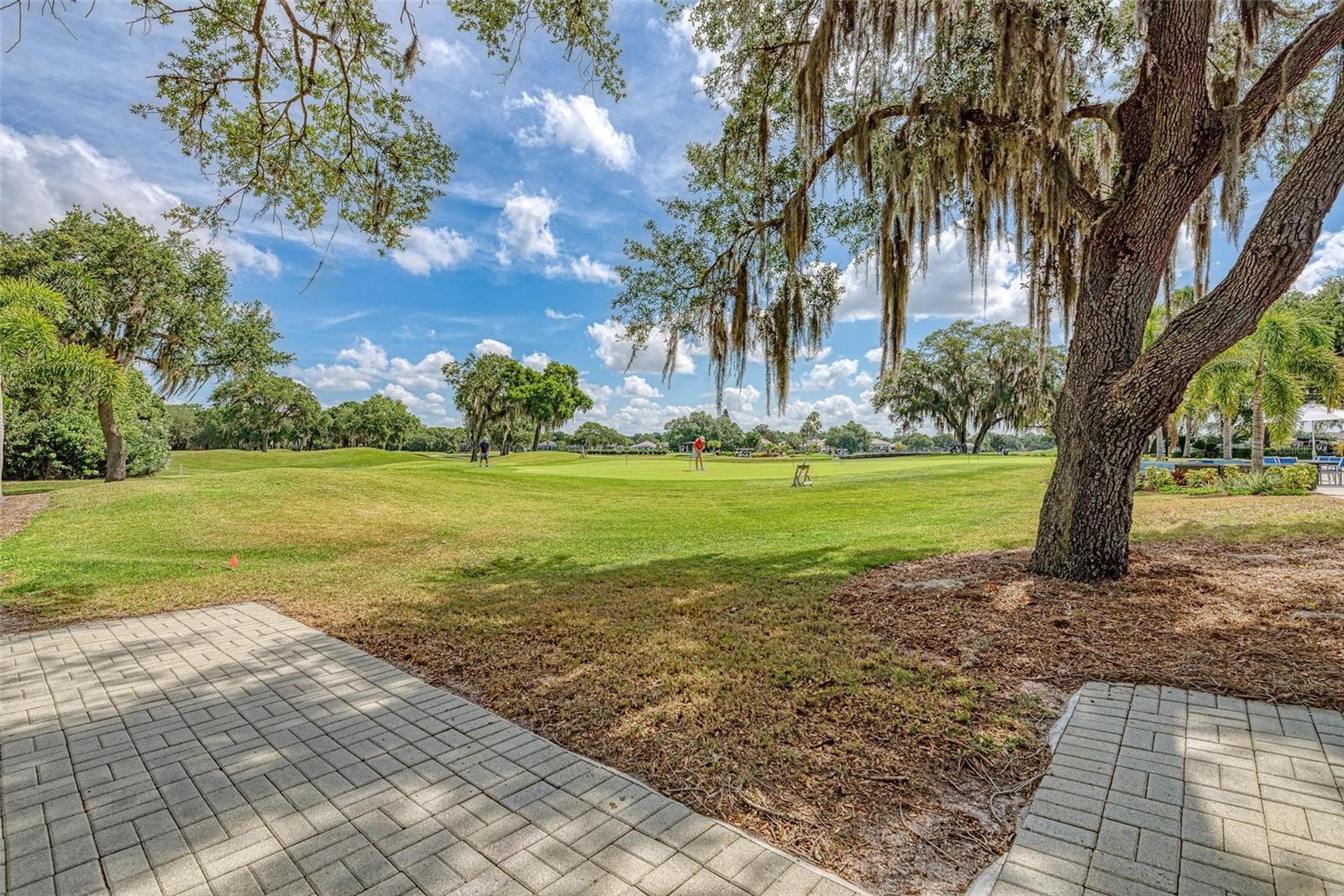 4645 ROYAL DORNOCH CIR — photo 73