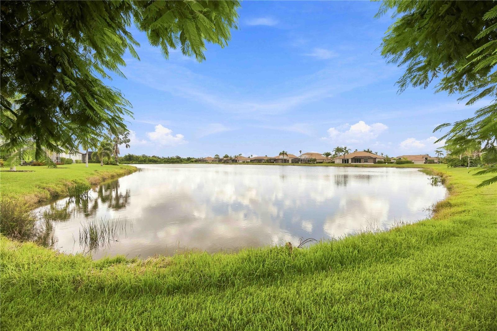 4619 CHASE OAKS DR — photo 44