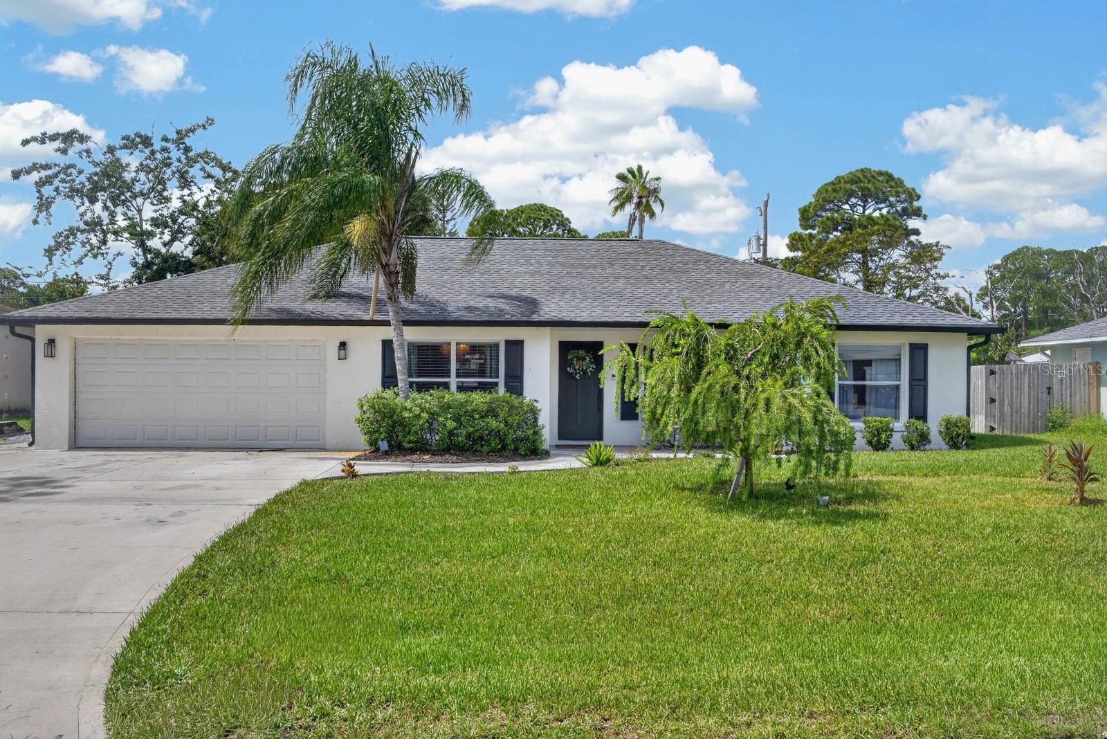 3216 UMBRELLA TREE photo