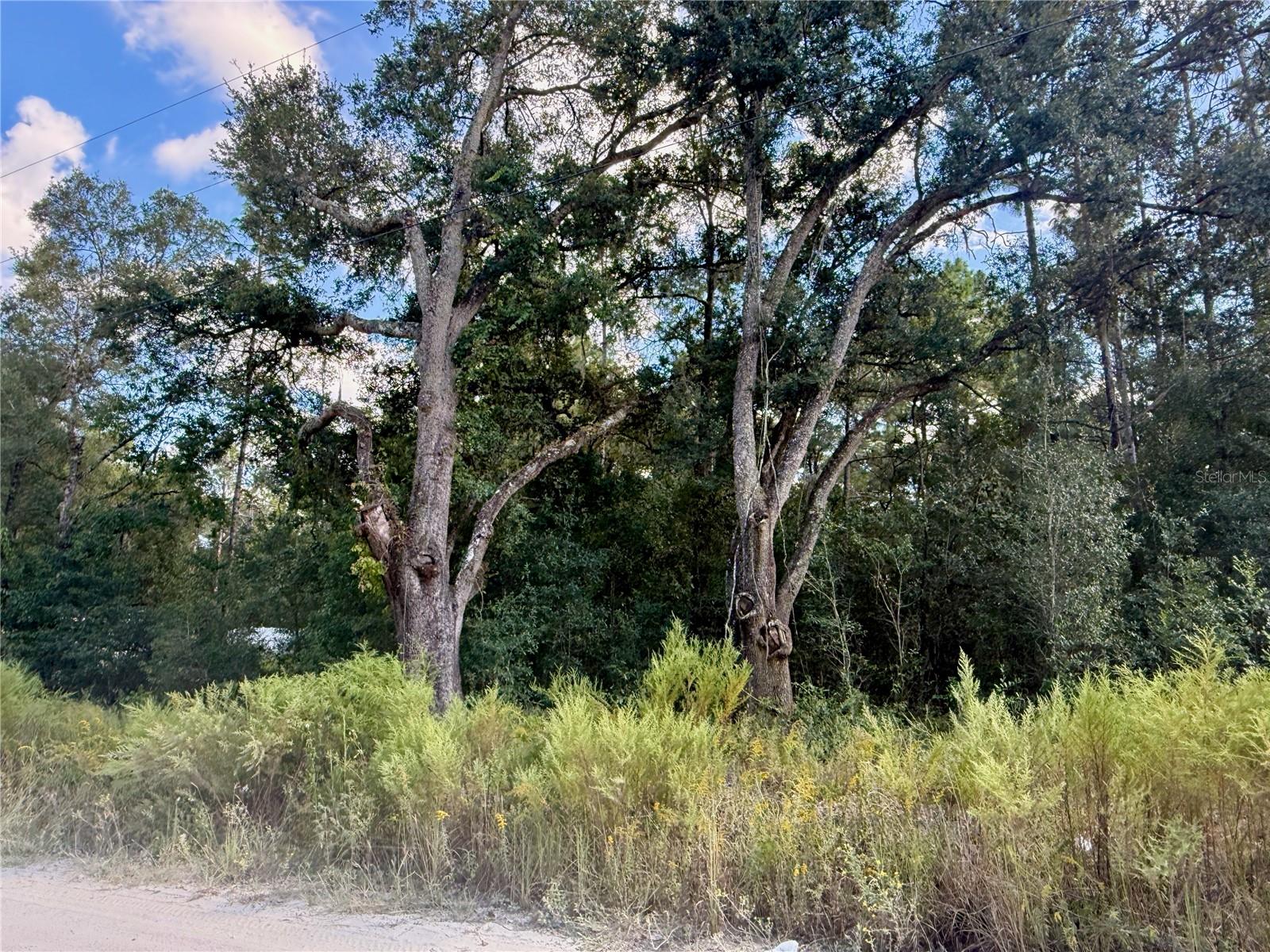 0 SW 16TH PL photo