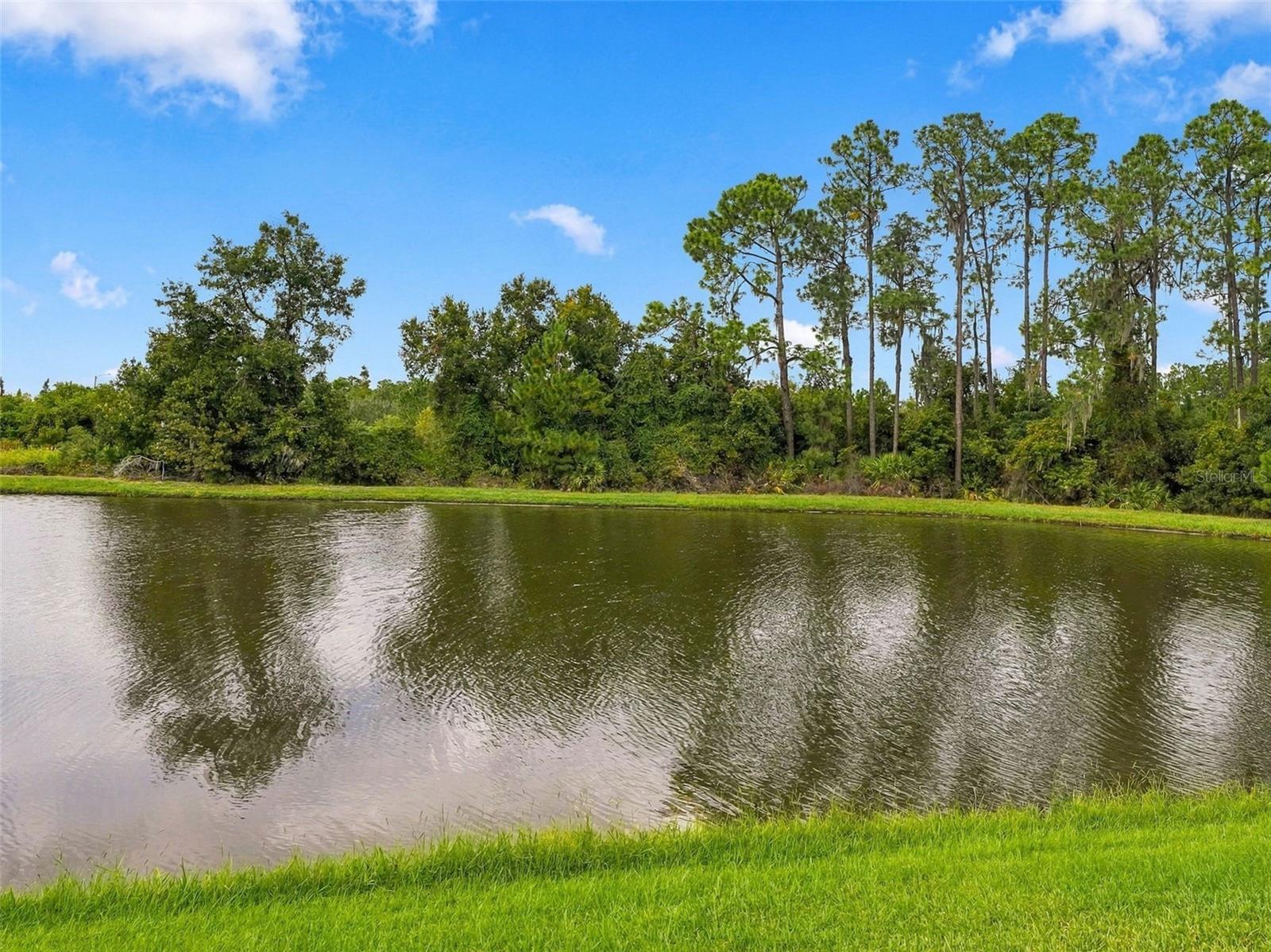 33655 WILLOW POINT CT — photo 53