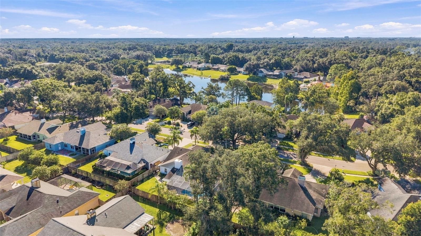 16508 BLENHEIM DR — photo 47