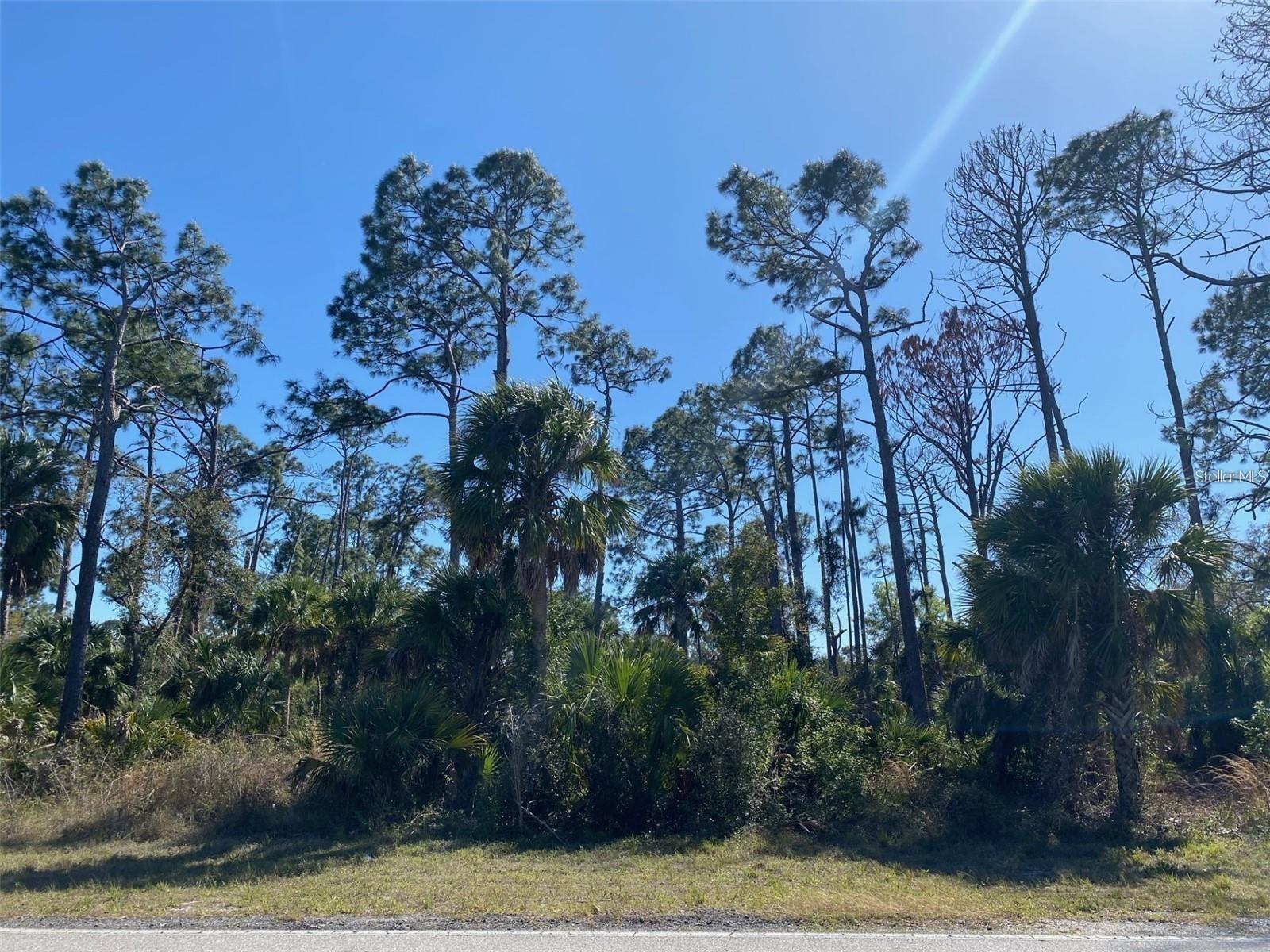 17467 HILLSBOROUGH BLVD photo