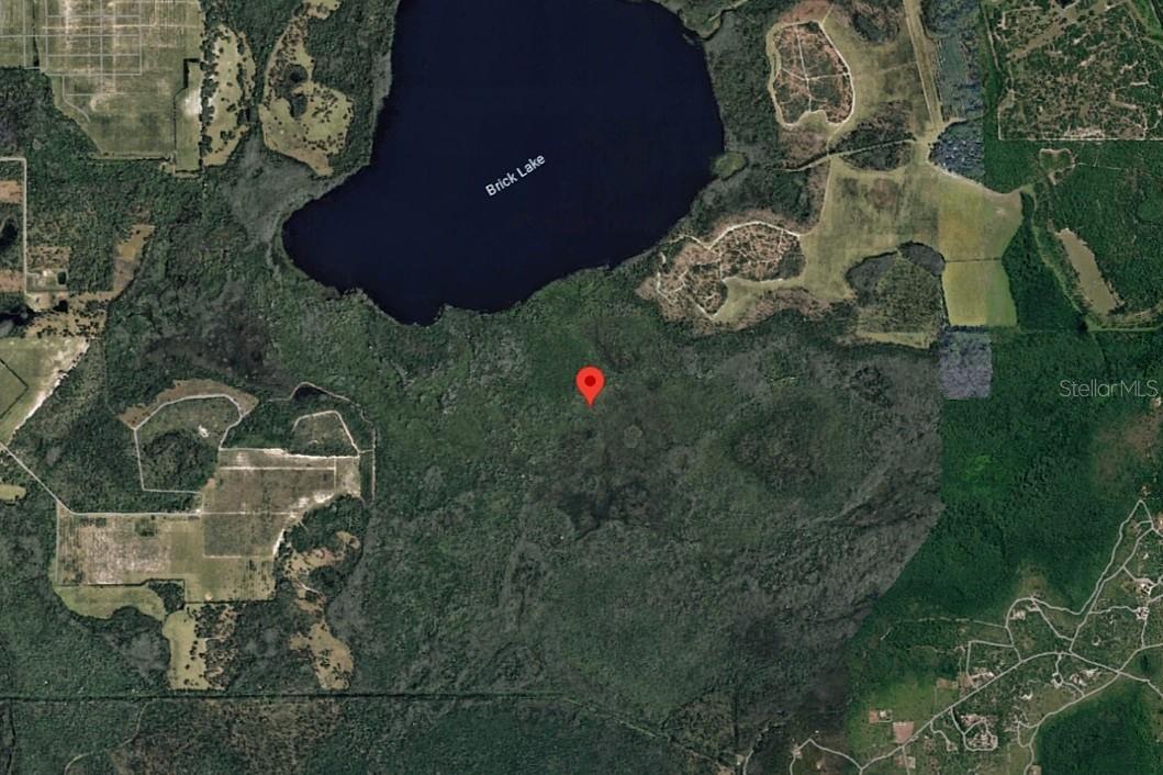 HOLOPAW GROVES RD photo