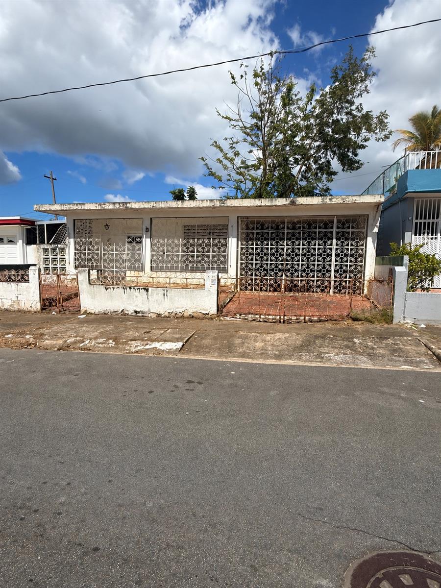 T1 JACINTO photo