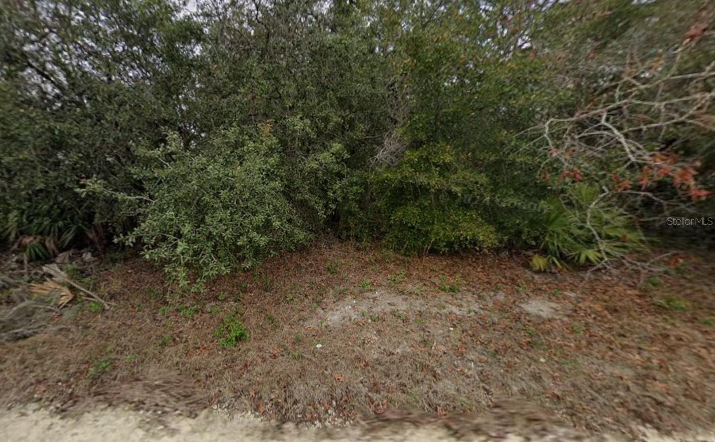 8343 NORMANDY DR — photo 2