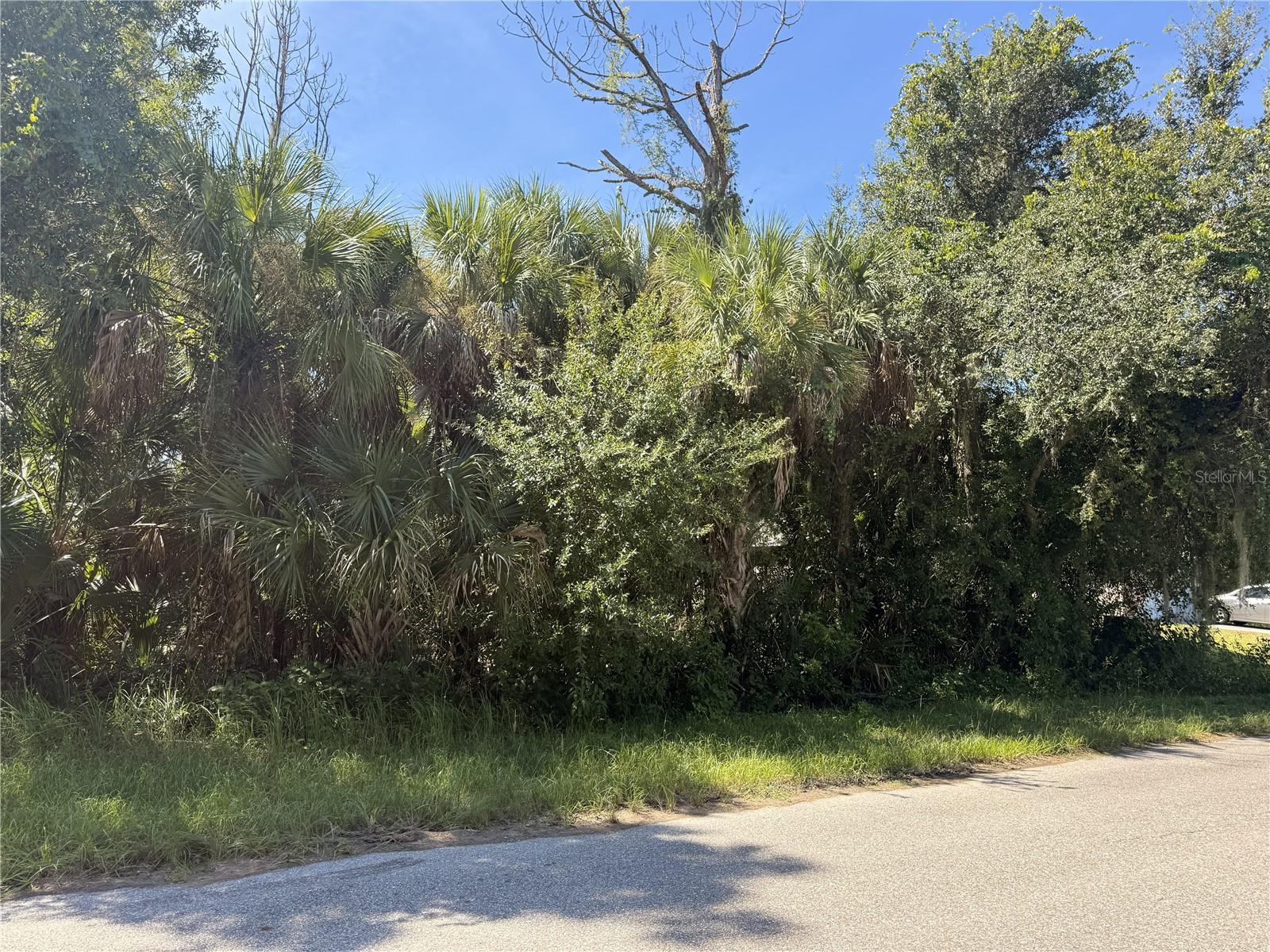 LOT 15 WALMSLEY AVE AVE — photo 2