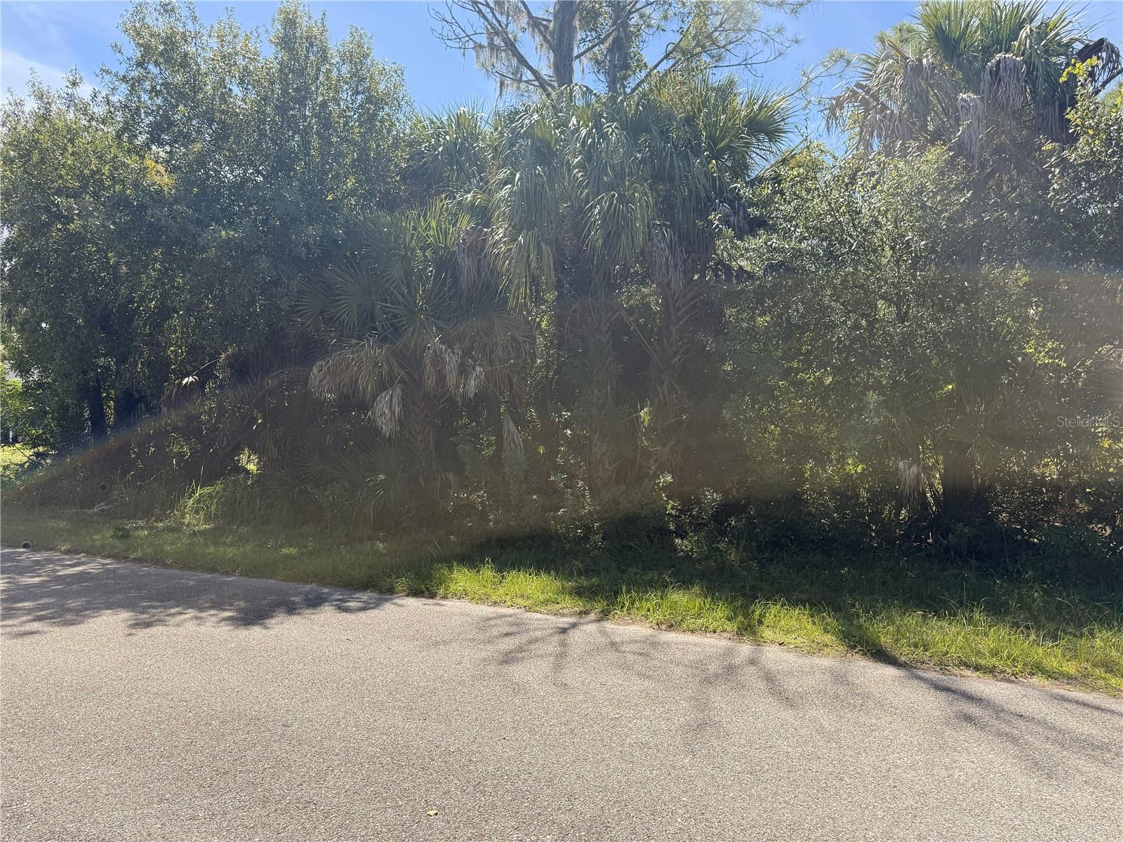 LOT 16 WALMSLEY AVE — photo 2