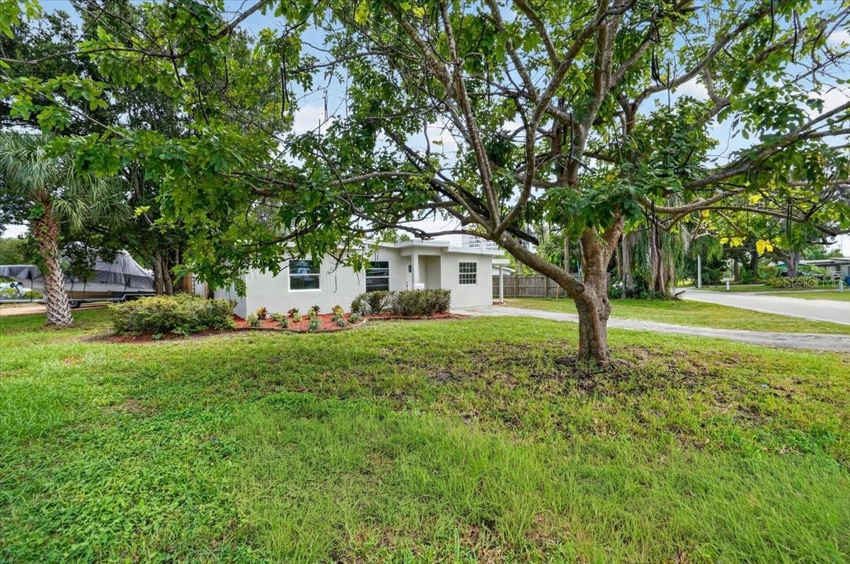 6790 DATE PALM AVE S — photo 3